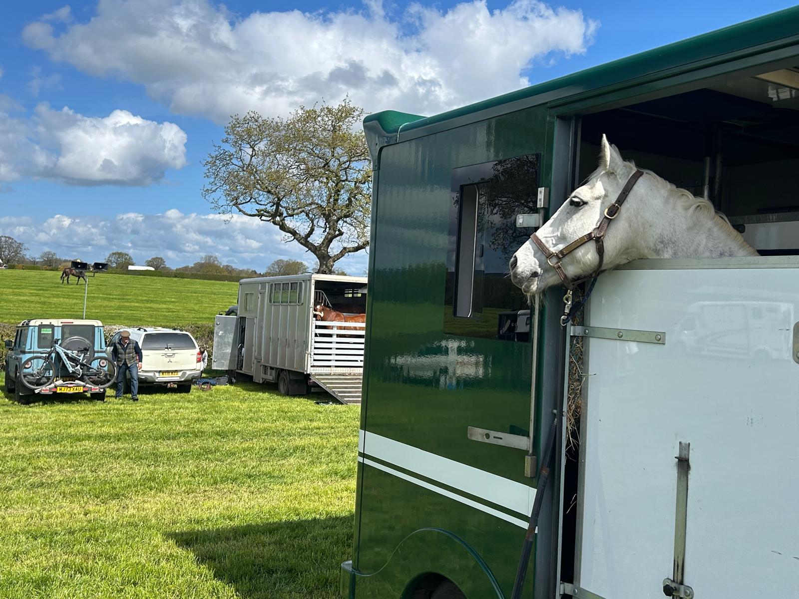 A horse looking out of the NEEDARIDE green horsebox in the countryside