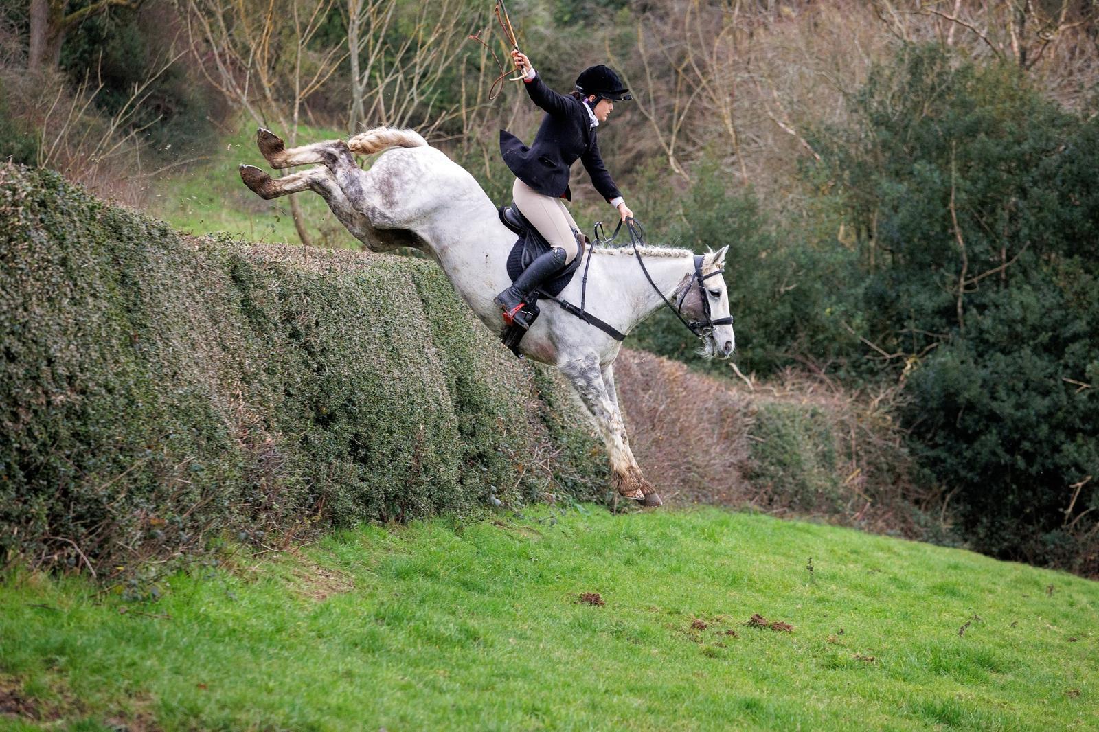 A horse and rider clearing a hedge
