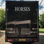 Horse Transport Services 9