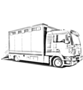 needaride horsebox illustration right