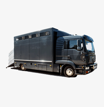 Right side NEEDARIDE Horse Transport Horsebox