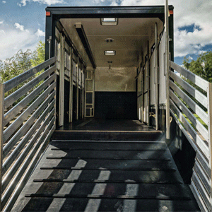 Fleet Horse Transporters back of Horsebox