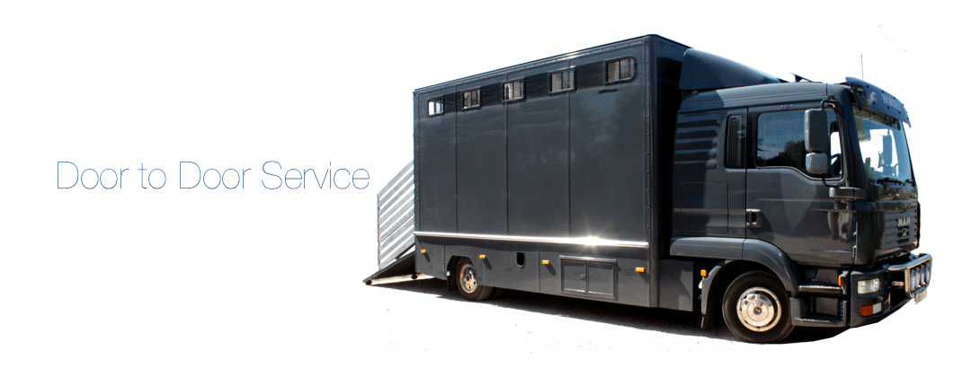 NEEDARIDE Horse Transport Door to Door Service